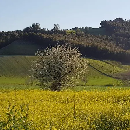 בית חווה La Mandragola Relais קרוטונה