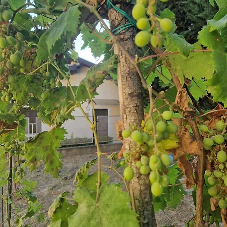 La Mandragola Relais