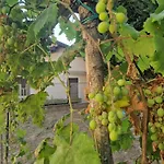 La Mandragola Relais Farmház Crotone