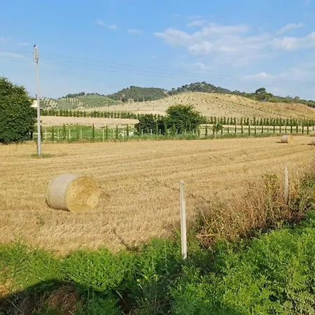 La Mandragola Relais *