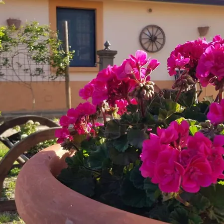 팜스테이 La Mandragola Relais