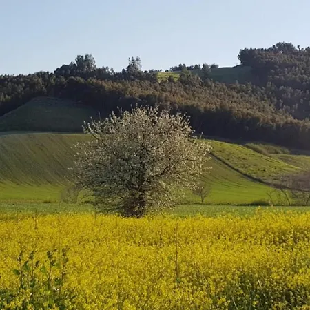 La Mandragola Relais קרוטונה