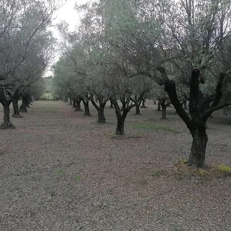 La Mandragola Relais Farmház