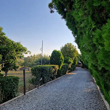 La Mandragola Relais קרוטונה