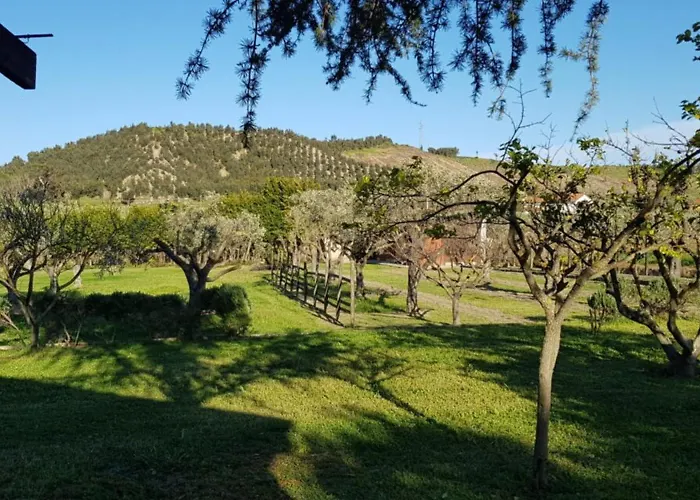 בית חווה La Mandragola Relais *