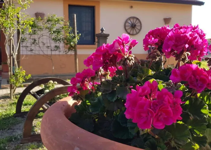 Alojamento de Turismo Rural La Mandragola Relais