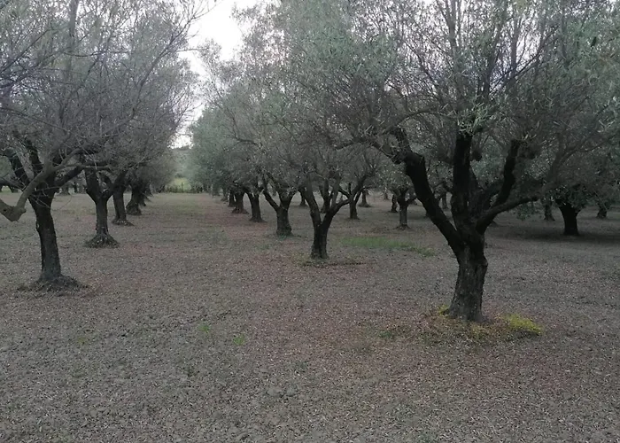 La Mandragola Relais *