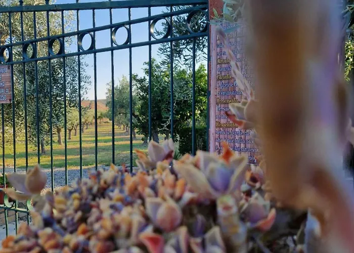 Alojamento de Turismo Rural La Mandragola Relais Crotone