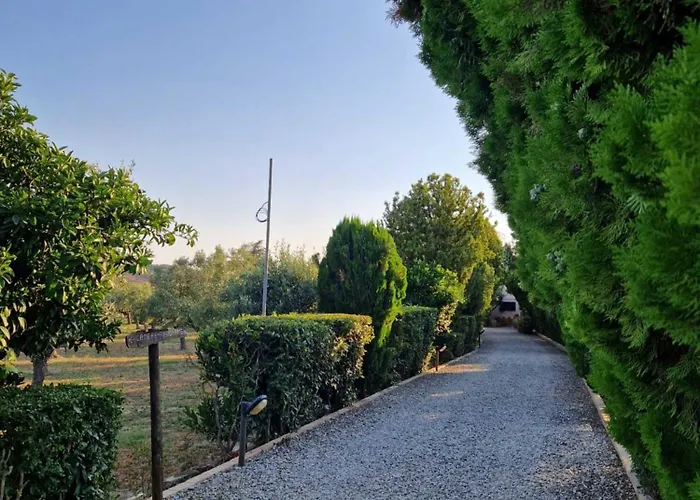 La Mandragola Relais * קרוטונה