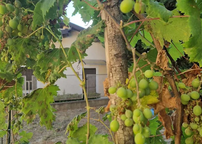 La Mandragola Relais בית חווה קרוטונה