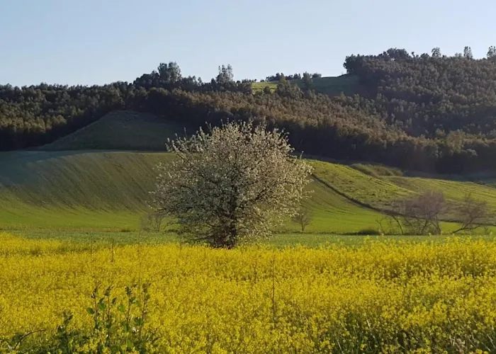 Alojamento de Turismo Rural La Mandragola Relais *