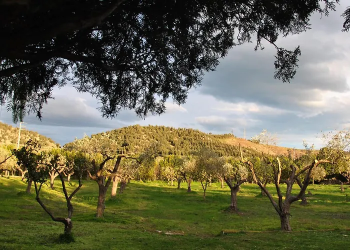 La Mandragola Relais בית חווה קרוטונה